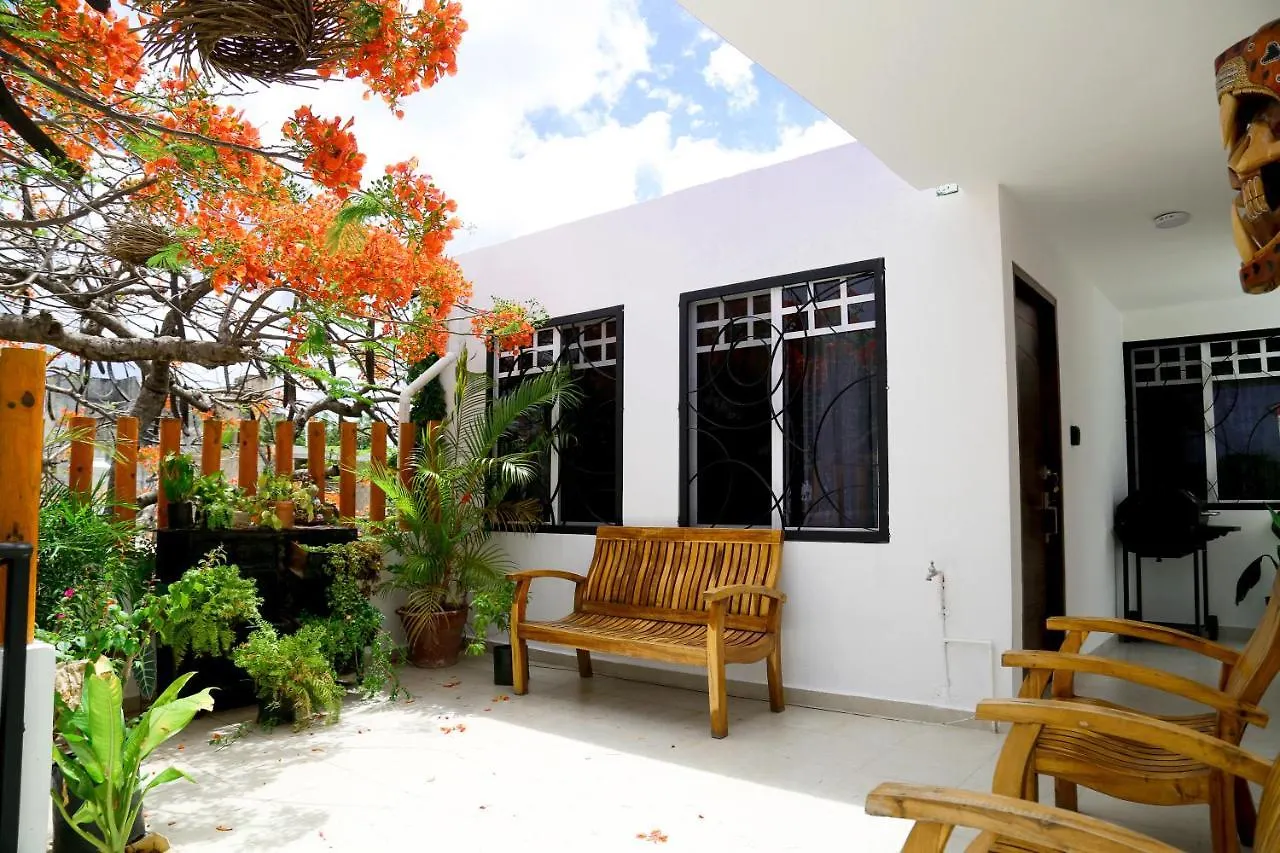 Centricos Estudios Vacacionales Moritas Cancún Mexiko